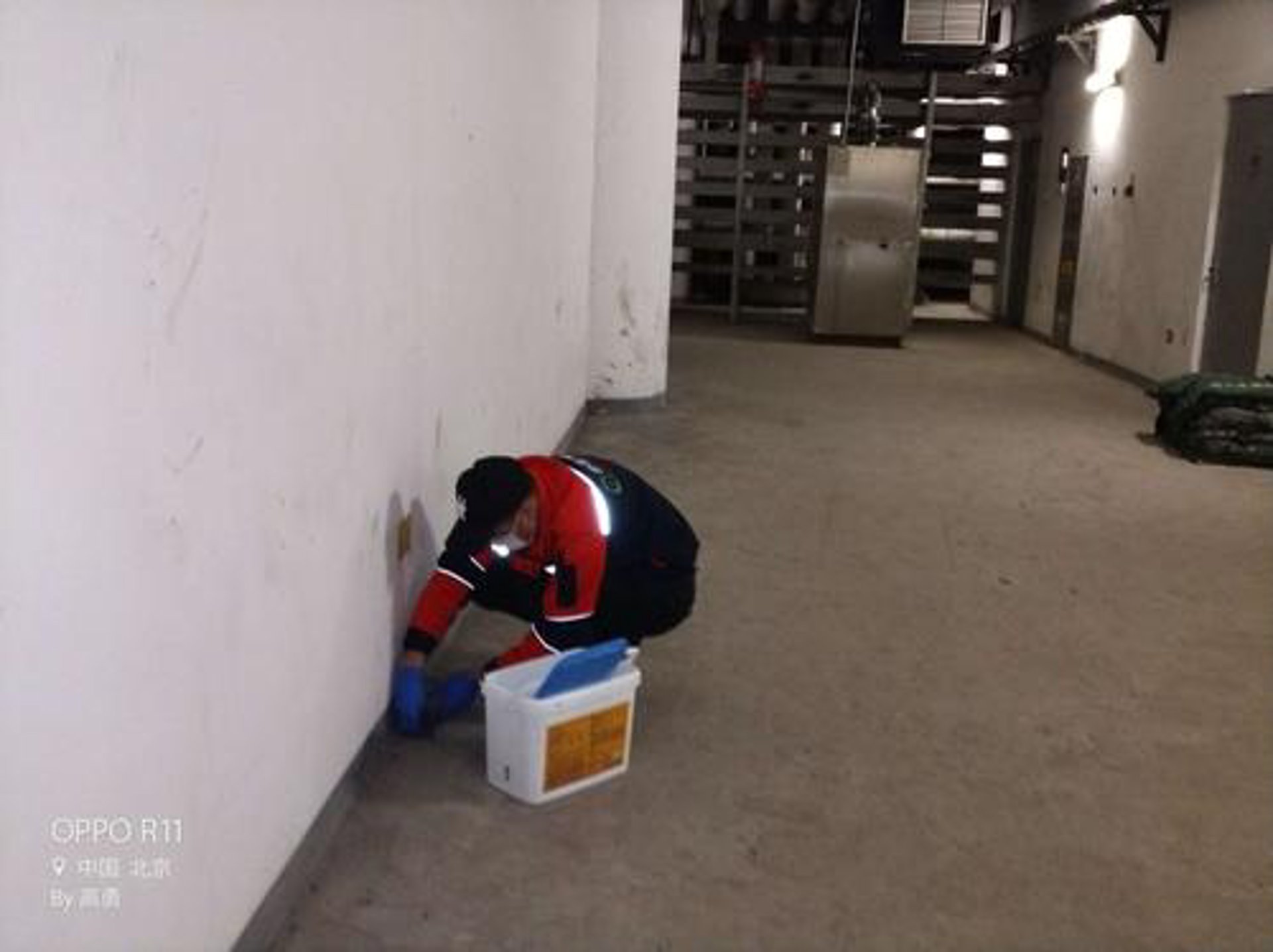南平除甲醛服务